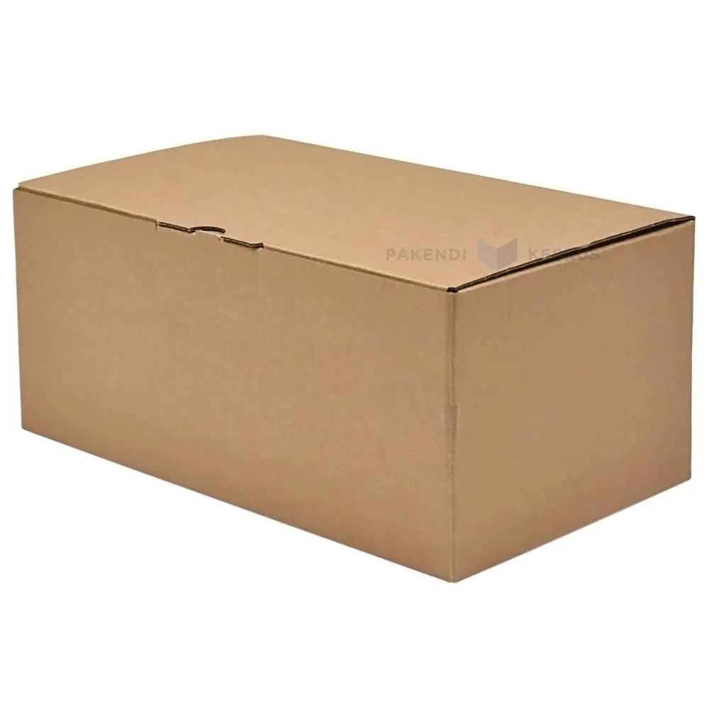 Corrugated carton box with lid 290x190x110mm